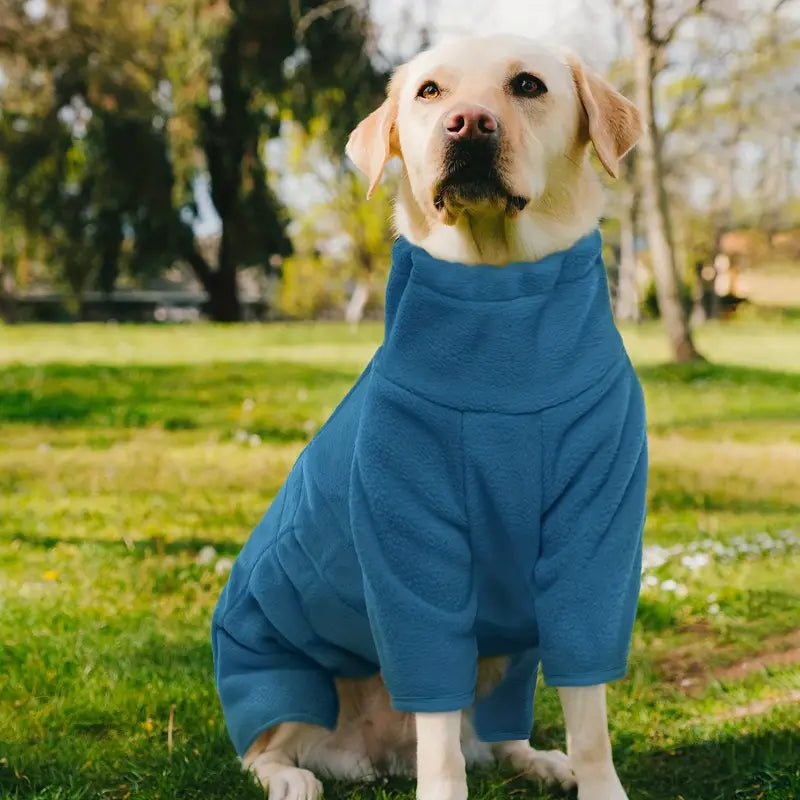 Winddichter Wintermantel für Hunde – Warmer Ganzkörper-Pyjama für Kalte Tage