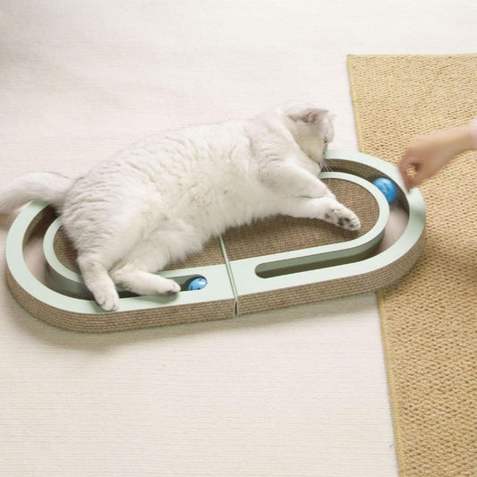 Karton Katzen Kratz und Spielbett