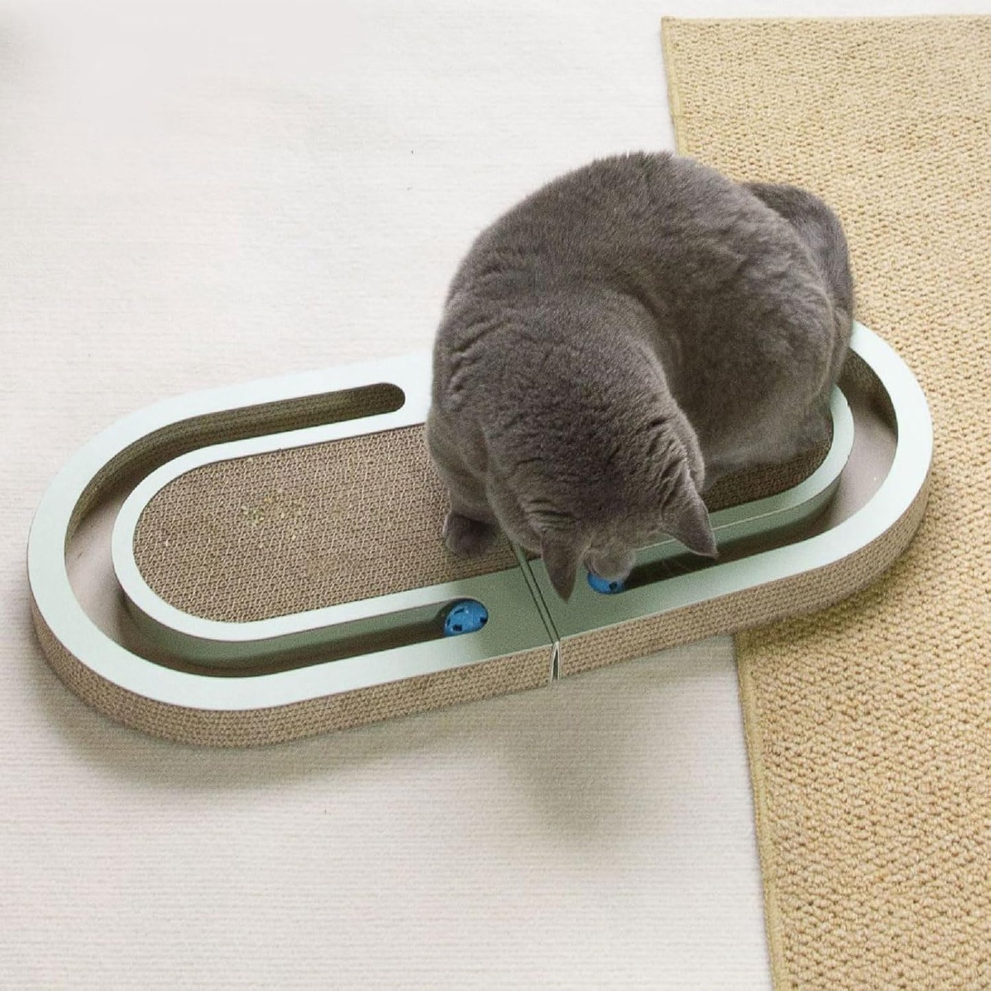 Karton Katzen Kratz und Spielbett